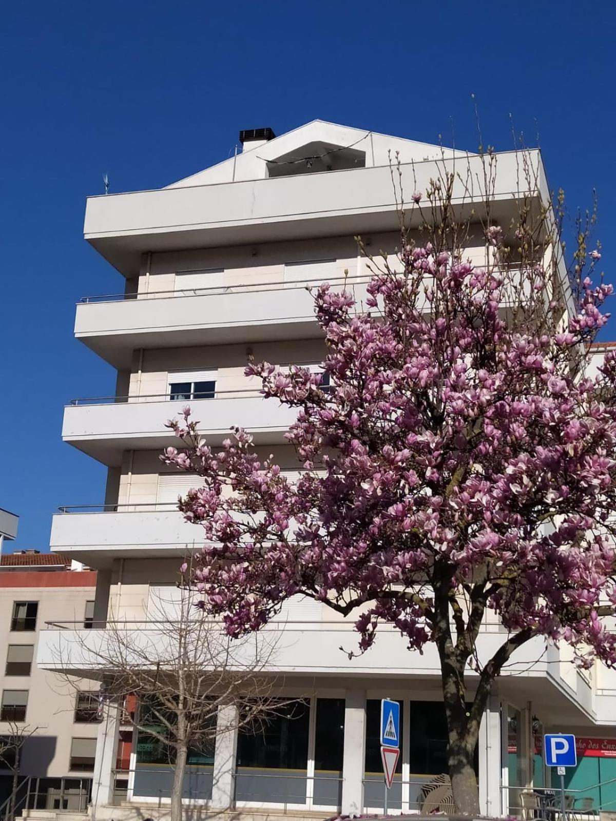 Lousa Varandas House Экстерьер фото